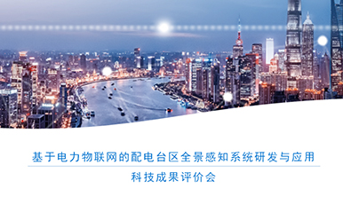 协会完成山东电亮亮信息科技有限公司《基于电力物联网的配电台区全景感知系统研发与应用》科技成果评价